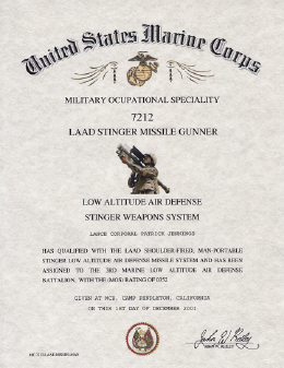 LAAD-Stinger-missile-certificate.png (471236 bytes)